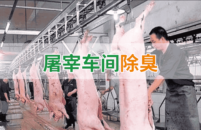 屠宰場臭氣影響周邊環(huán)境？解決辦法在這里-1