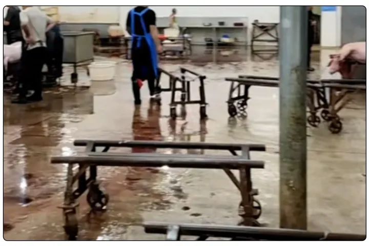 屠宰工廠惡臭影響周邊，使用除臭劑有什么注意要點？.jpg