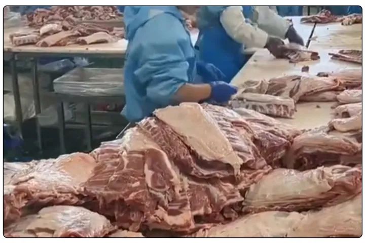 屠宰工廠惡臭影響周邊，使用除臭劑有什么注意要點？.jpg