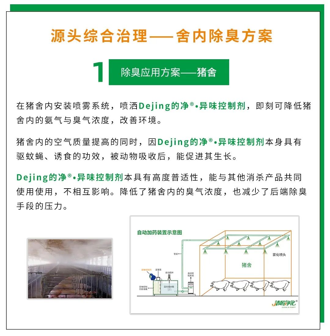 Dejing的凈養(yǎng)殖場除臭劑如何迅速清理養(yǎng)殖場臭味？.jpg