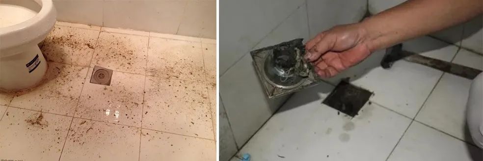 家里衛(wèi)生間老有異味，潔匠凈化教您如何解決難聞的臭味.jpg