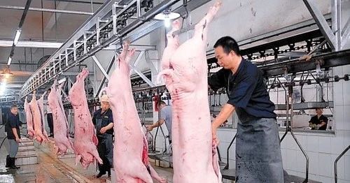 屠宰場臭氣影響周邊環(huán)境？解決辦法在這里.jpg